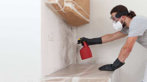 Professional Attic Mold Remediation technician working in Portland, MI