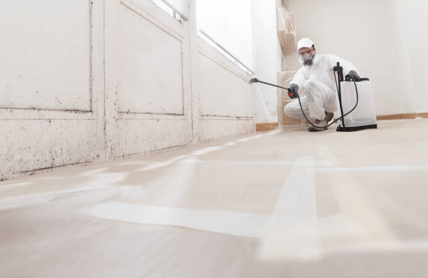24/7 Emergency Attic Mold Remediation experts in Portland, MI
