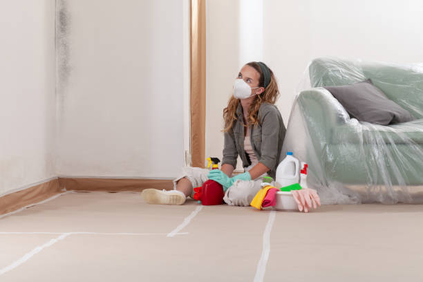 Reliable Attic Mold Remediation contractor in Portland, MI by Car Mold Remediation